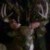 Profile picture of nsimillguy