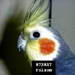 Profile picture of richardculbertson4998