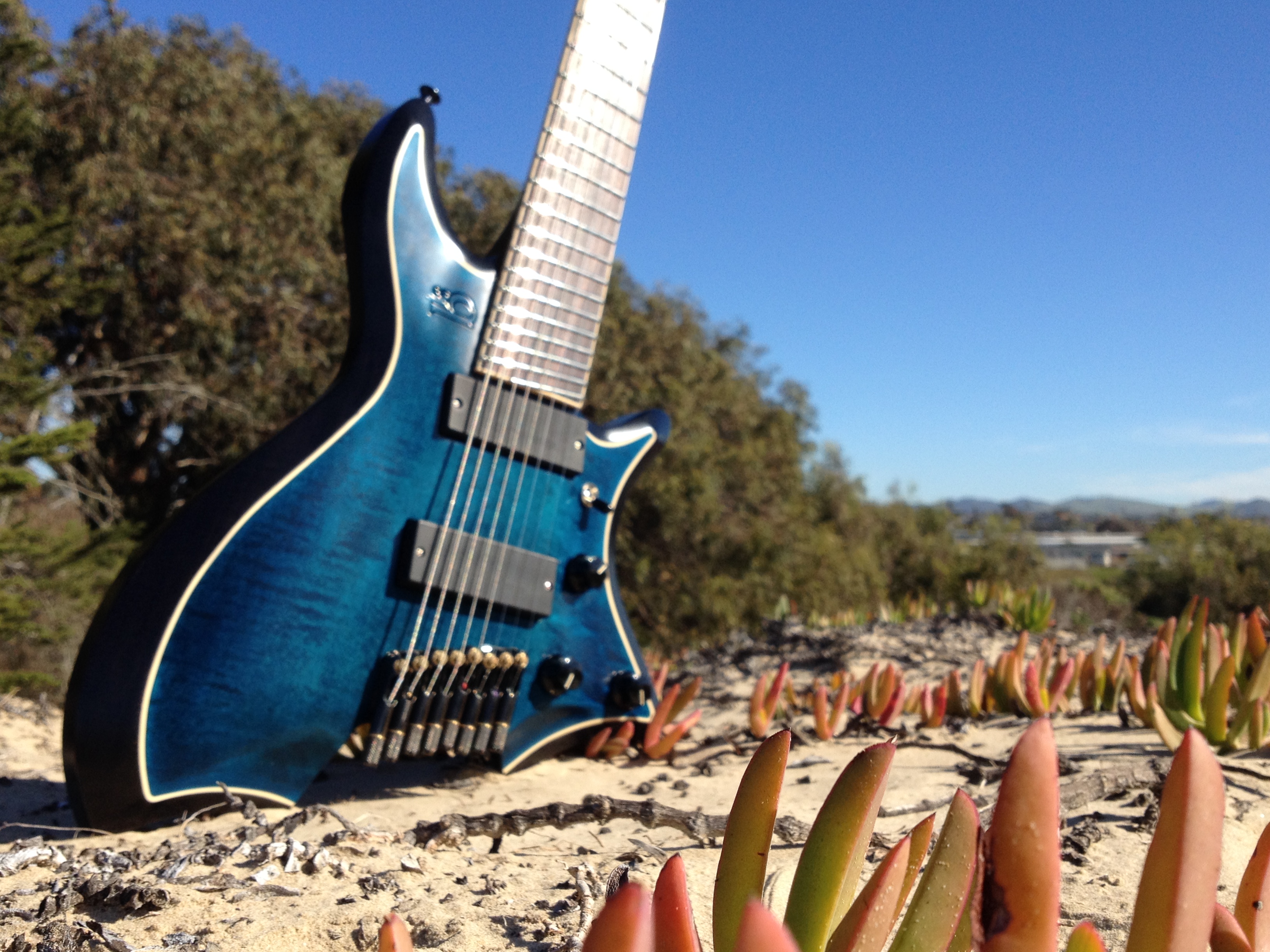 Gene Baker Guitar 3