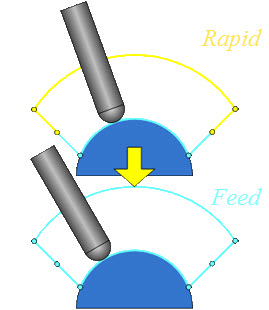 rapid to feed