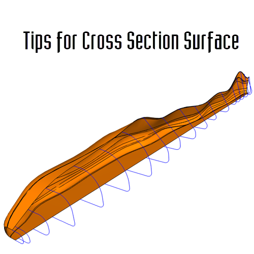 cross section surface